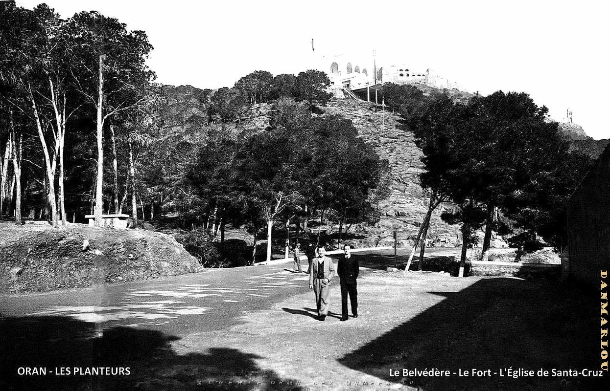 Oran - Planteurs.jpg
